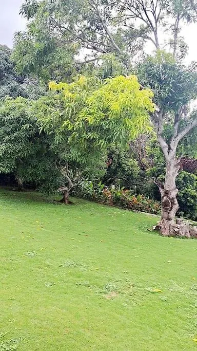 Montego Bay Hillside Retreat Appartement